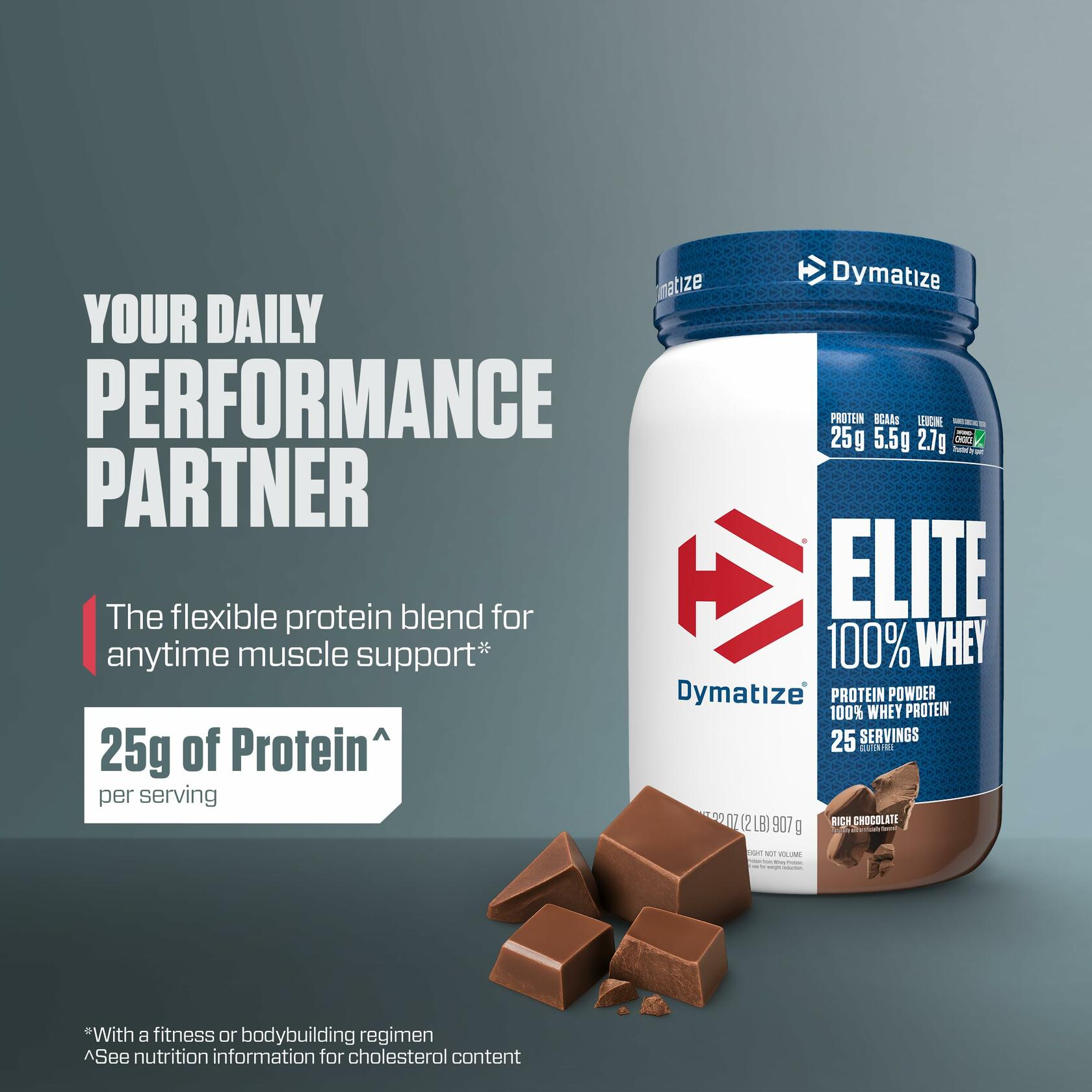 Dymatize Elite 100% Whey Protein Powder, Rich Chocolate, 2 lbs
