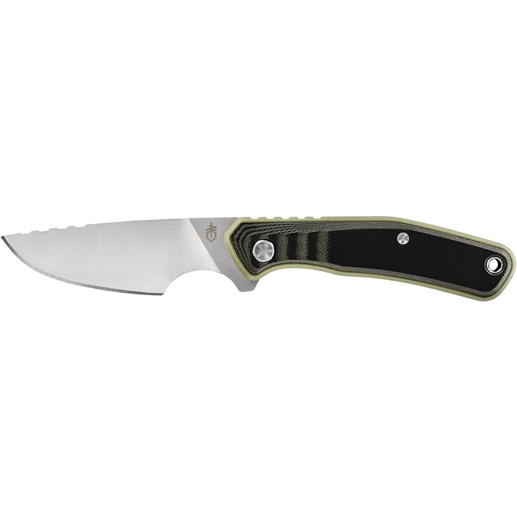Gerber Gear Downwind Caper Fixed Blade Knife with Sheath - Olive