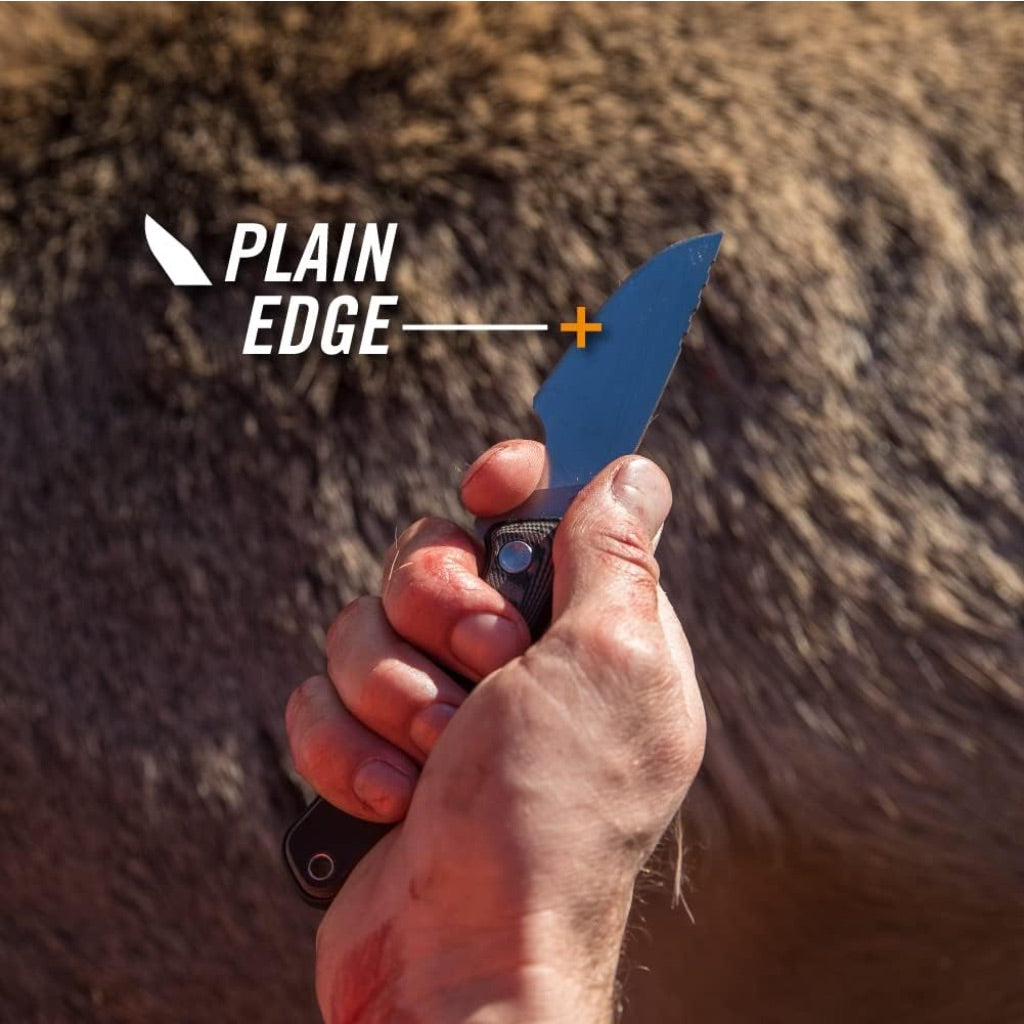 Gerber Gear Downwind Caper Fixed Blade Knife with Sheath - Olive