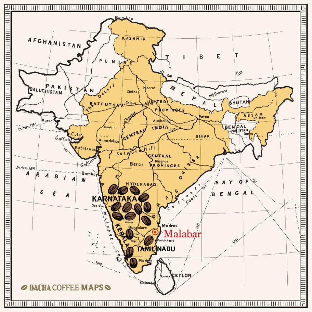 Bacha Coffee Monsoon Secret India Single Origin Medium Dark Roast Coffee Drip Bags, 2 Pack (24ct)