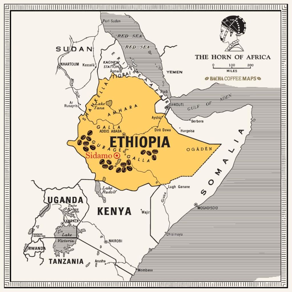 Bacha Coffee Signature Nomad Collection Yirgacheffe Heirloom Single Origin Medium Roast Whole Coffee, 2 Pack