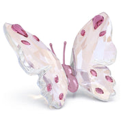 Swarovski Crystal Idyllia Butterfly Ornament, 5691959