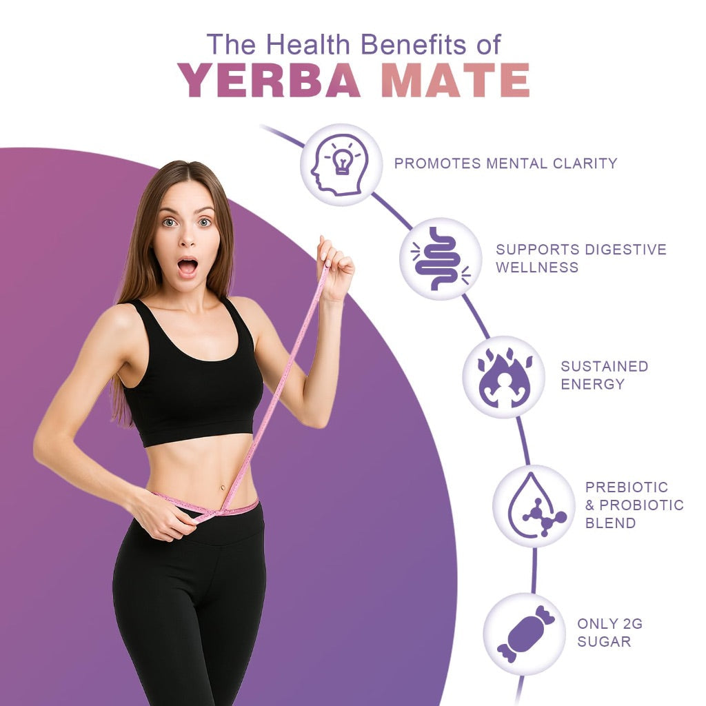 Yerba Mate Tea Instant Powder with Organic Prebiotics/Probiotics, Natural Ingredients - Strawberry Kiwi, 30 Servings