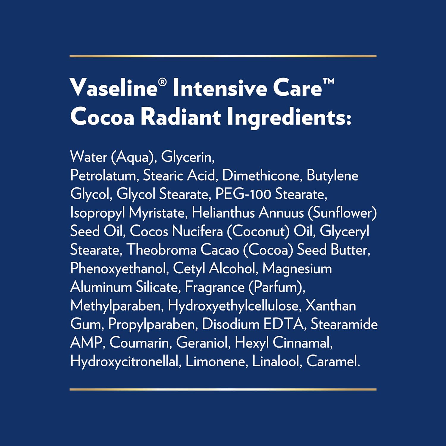 Vaseline Intensive Care Cocoa Radiant Body Lotion for Dry Skin - 20.3 fl oz