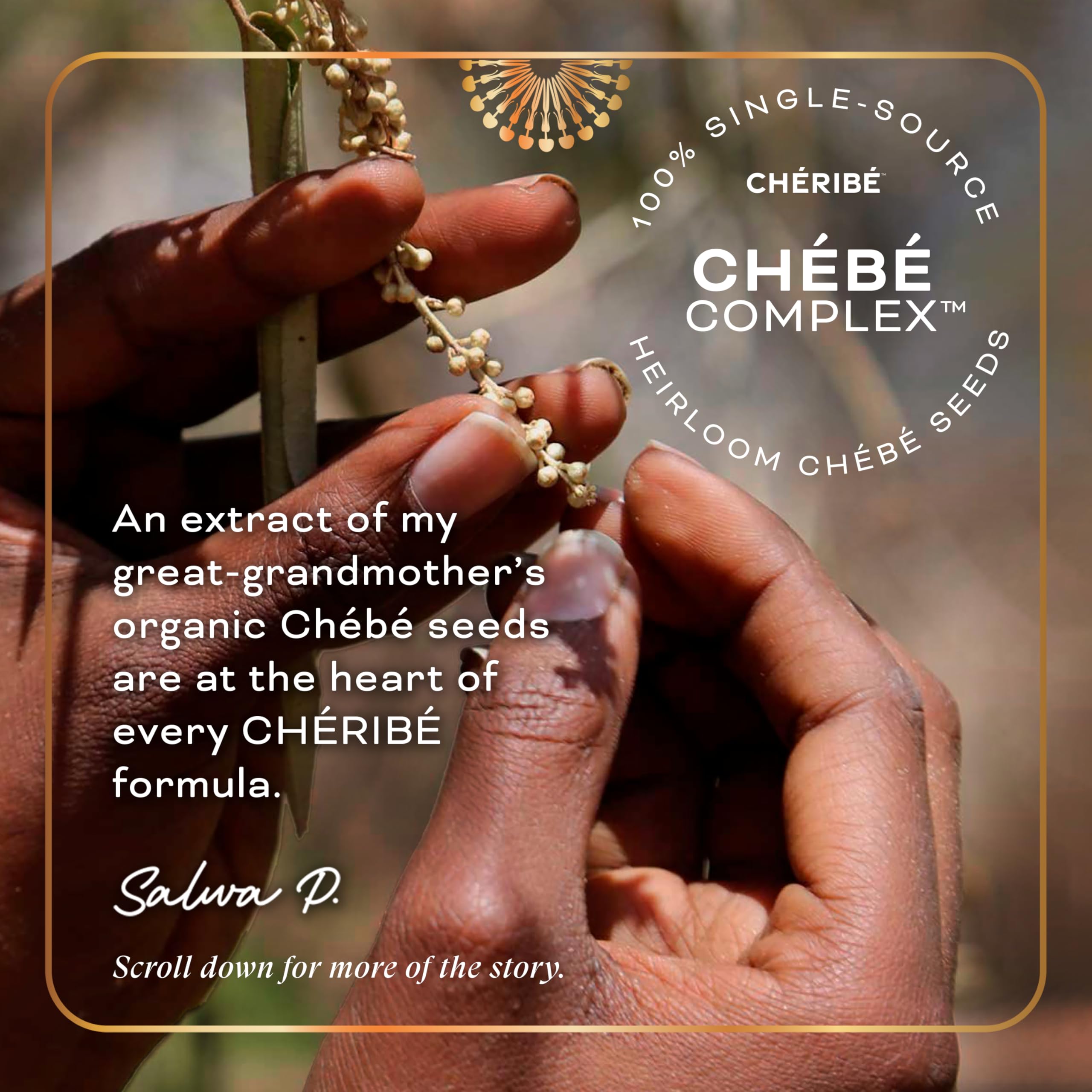 Cheribe Softening Conditioner with Chebe Complex + Castor Oil Strengthens Hair, Promotes Hair Growth & Length Retention For All Hair Textures 2A-4C & Porosities, Sulfate Free, 8 fl oz