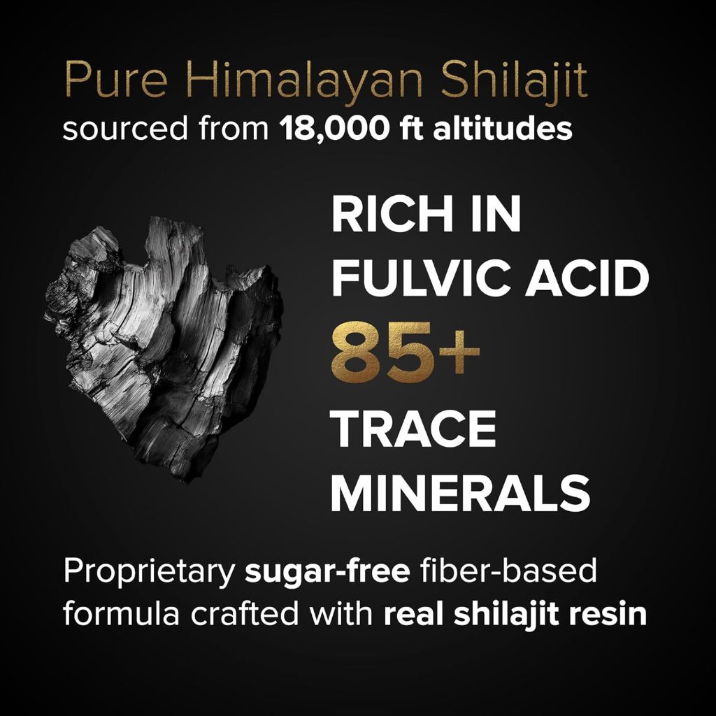 Natural Bioscience Pure Himalayan Shilajit Gummies 800mg - 60ct