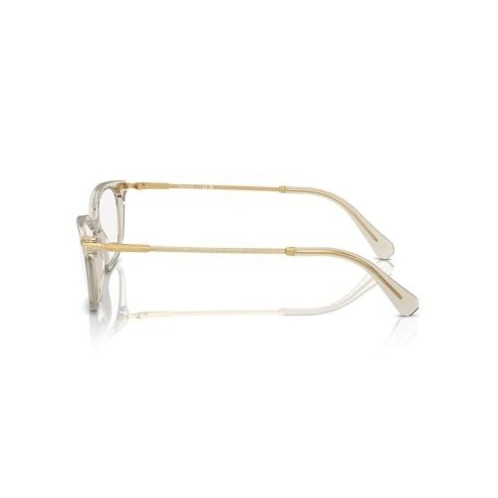 Swarovski Women's SK2017 3003 Eyewear Frames - Transparent Beige, 54mm