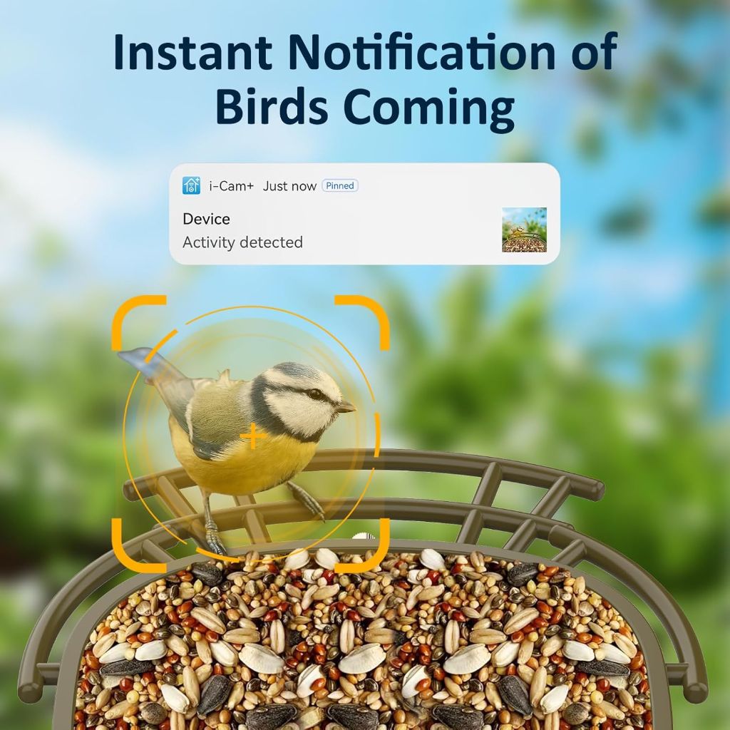 Lollyes Smart Bird Feeder with Camera
