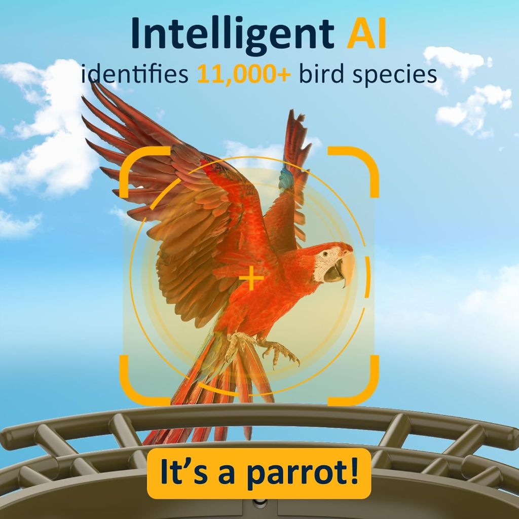 Lollyes Smart Bird Feeder with Camera