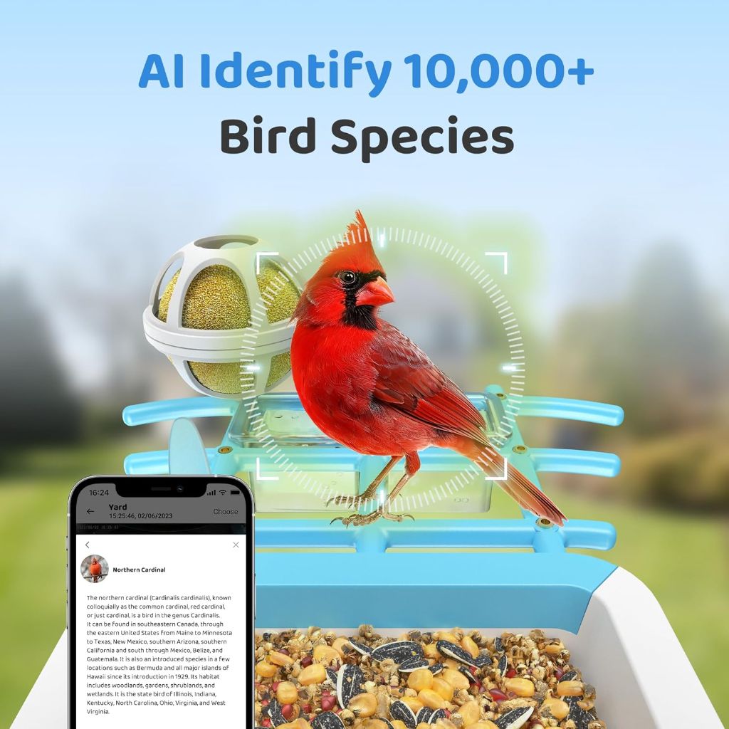 Smart Bird Feeder with Camera, Solar Powered for Outside, AI Species Identify, 2K Live View, Instant Arrival Alerts - Blue
