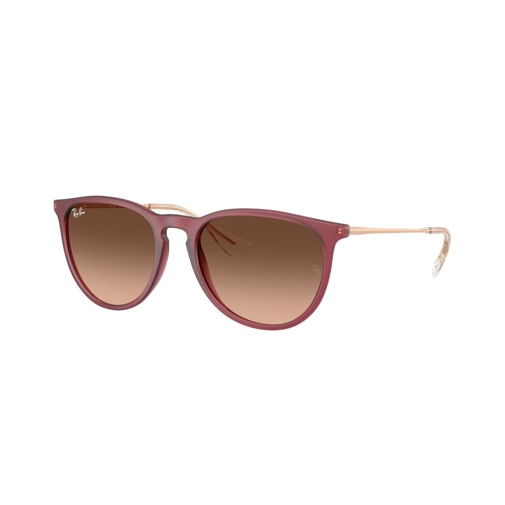 Rb4171 6815A5 Sunglasses