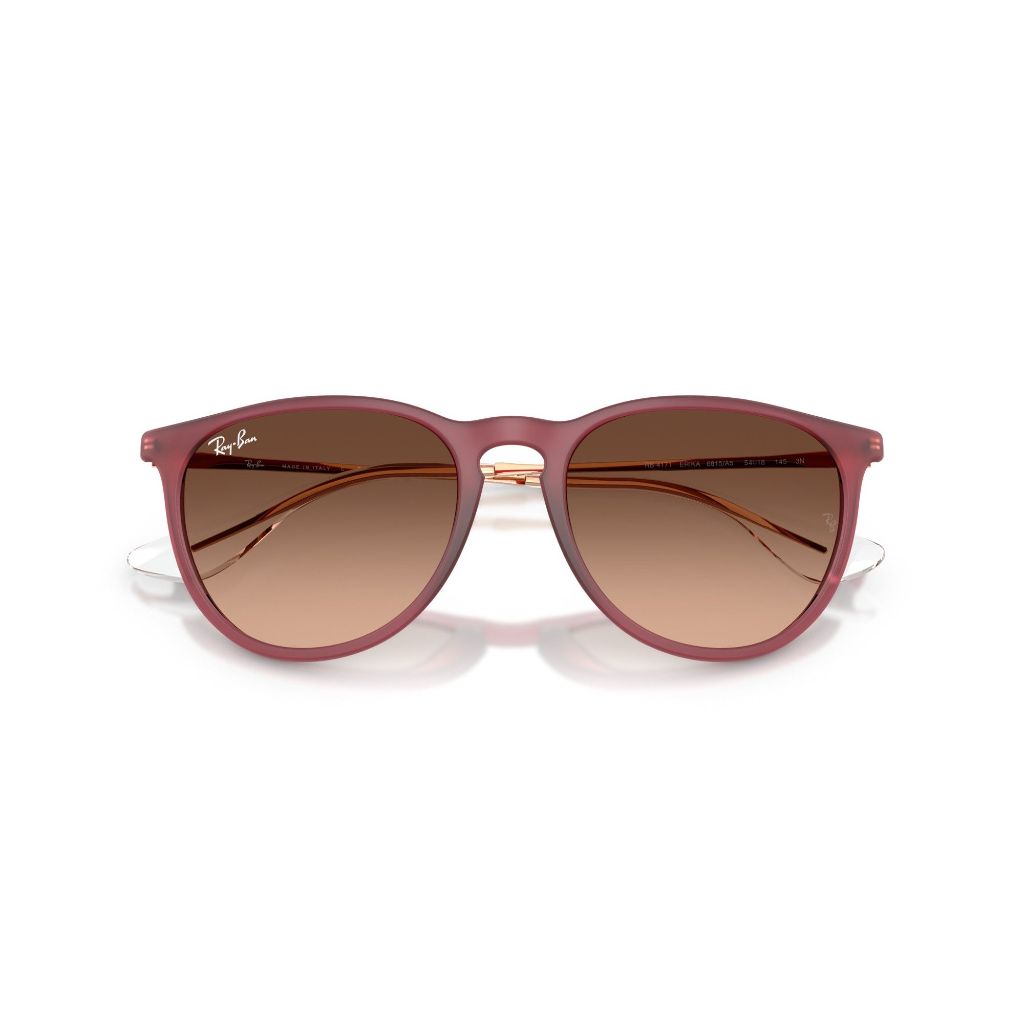 Rb4171 6815A5 Sunglasses