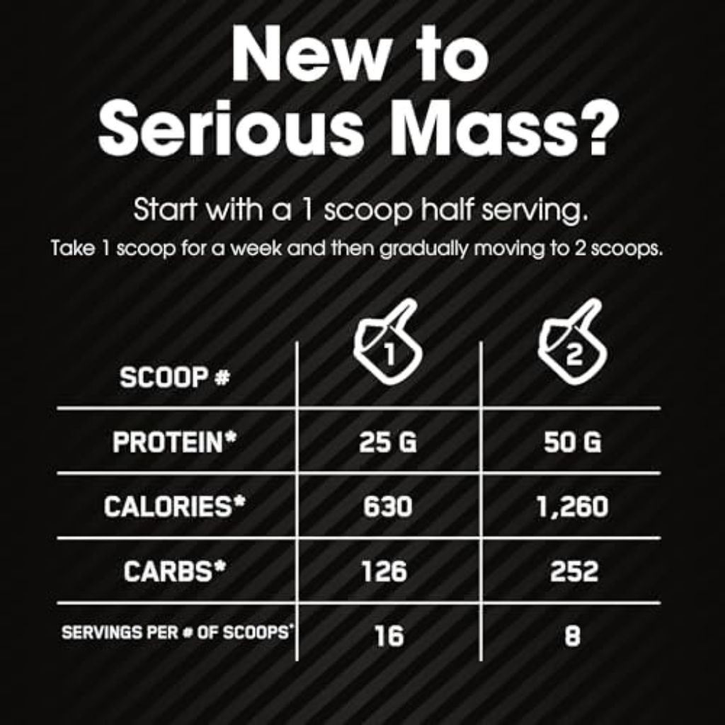 Optimum Nutrition Serious Mass Gainer Protein Powder - Chocolate, 6lb.