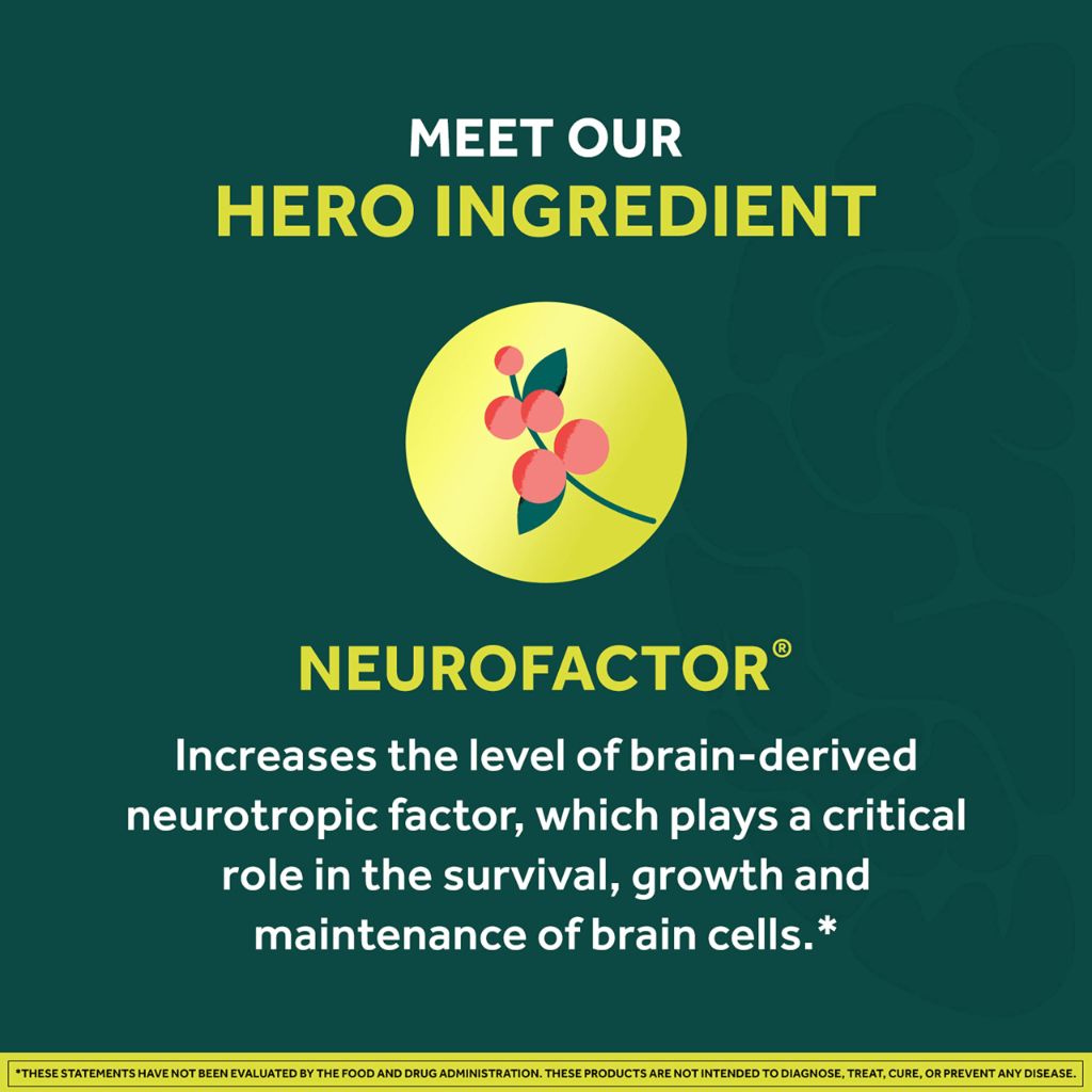 NEURIVA Brain + Energy Gummies - Natural BlackBerry (75ct)
