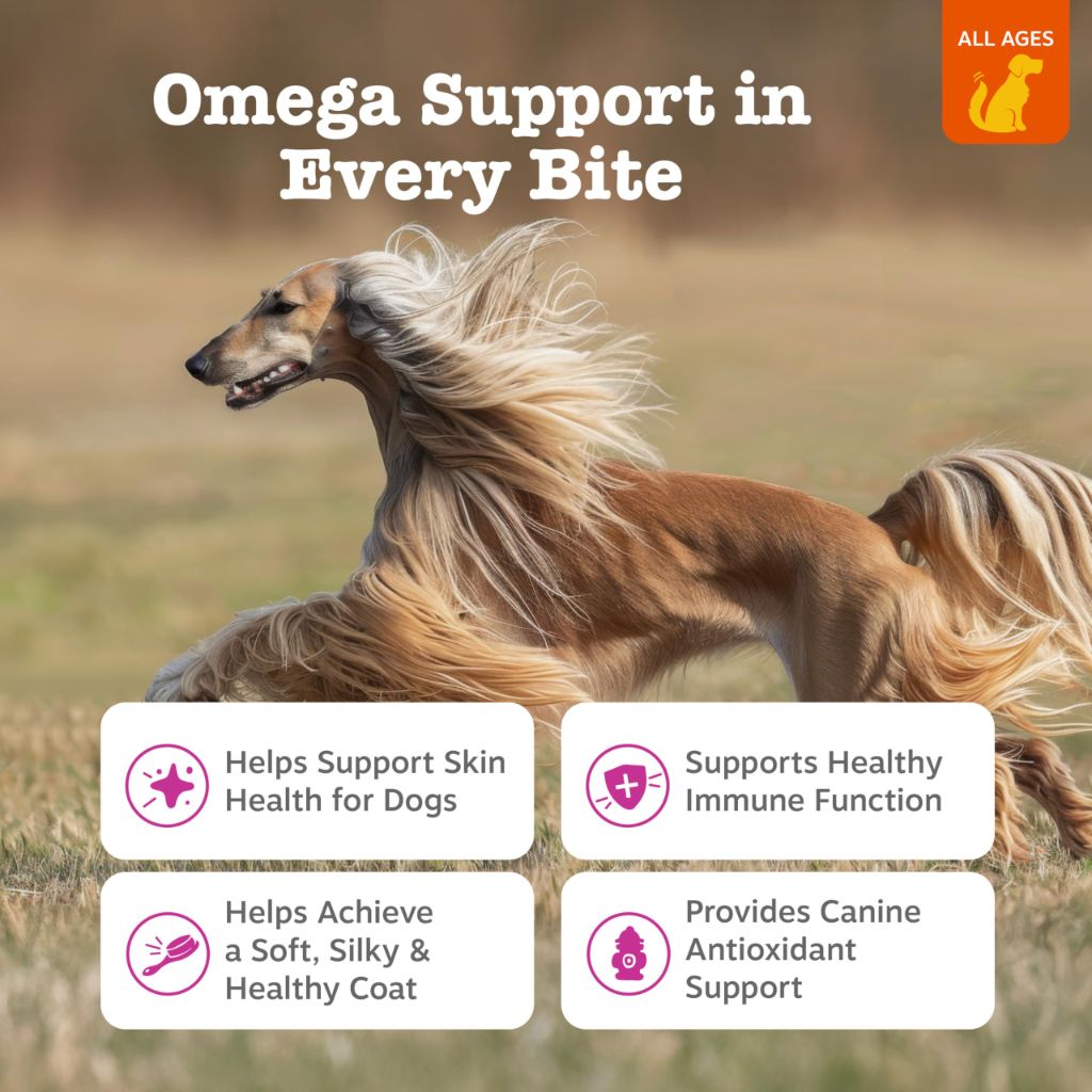 Zesty Paws Sin & Coat Omega 3 Fish Oil Soft Chews for Dogs - Bacon, 90ct.