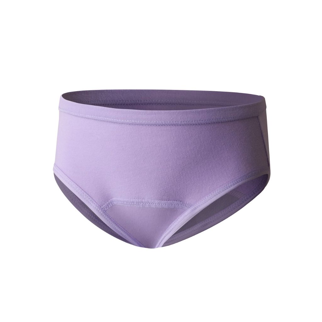 Hanes Girl's Potty Trainer Briefs - Assorted Colors, Size 4T/5T (6 Pair)