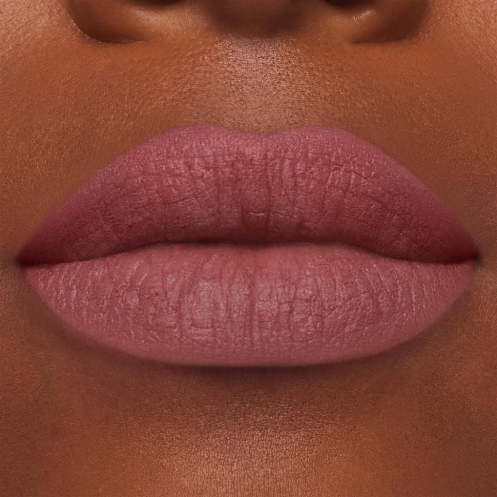 Estée Lauder Pure Color Long-Lasting Matte Lipstick - 855 Risk It All, 0.12oz