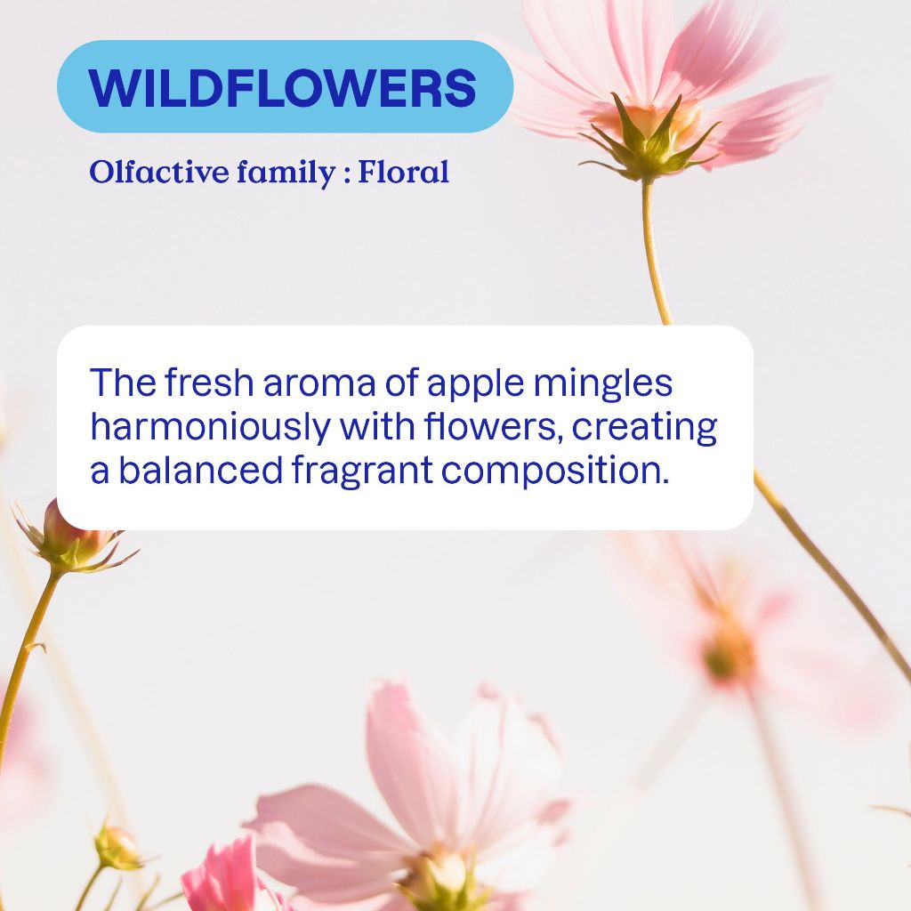 ATTITUDE Plant-Based Liquid Fabric Softener - Wildflowers Scent, 33.8 fl. oz.