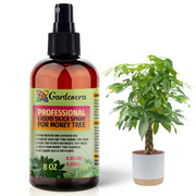 Gardenera Professional Liquid Silica Spray for Money Tree Plants - 8 fl. oz.