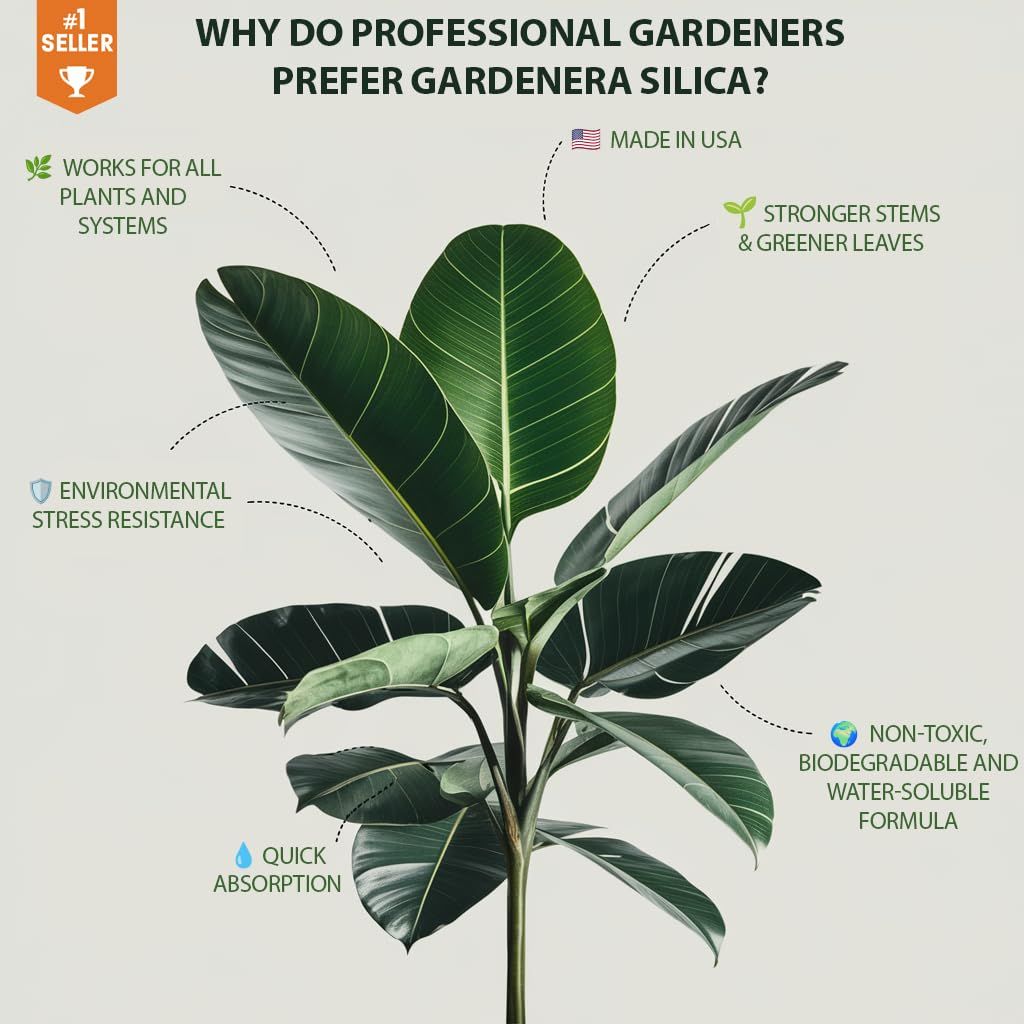Gardenera Professional Liquid Silica Spray for Money Tree Plants - 8 fl. oz.