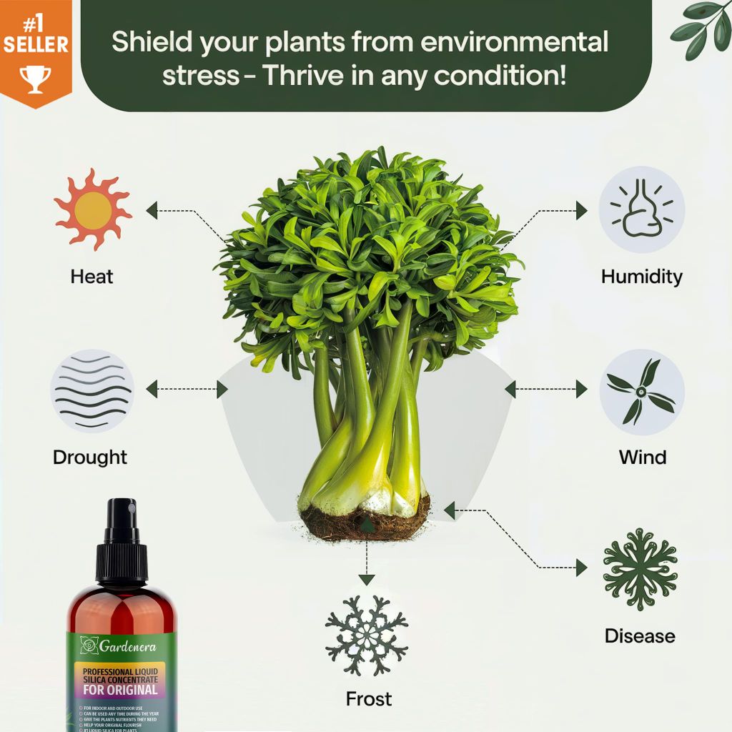 Gardenera Professional Liquid Silica Spray for Money Tree Plants - 8 fl. oz.