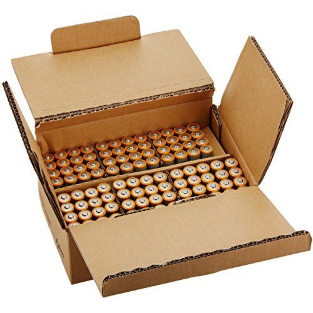 AmazonBasics AA Performance Alkaline Batteries (100-Pack)