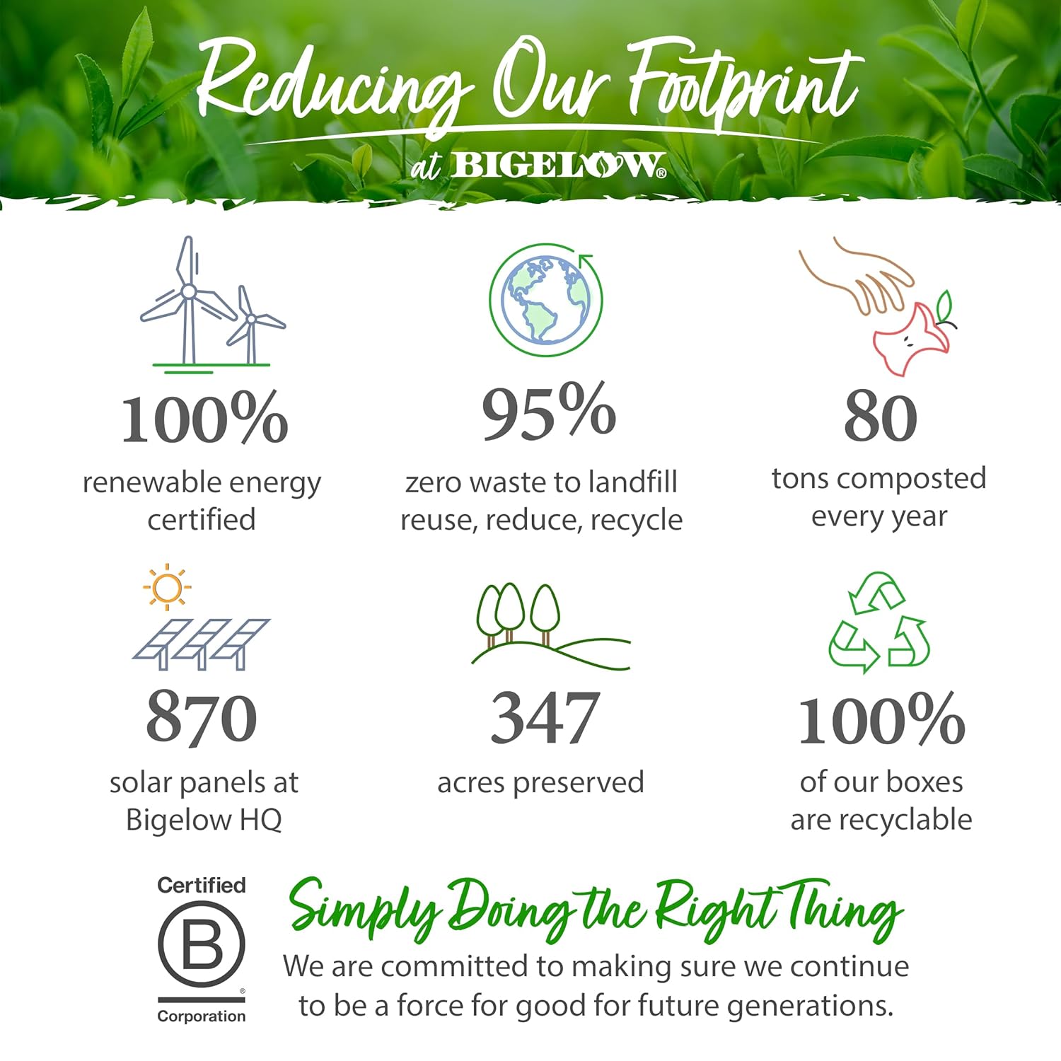 Bigelow Vanilla Chai Black Tea Bags, 1.64 oz, 20ct (6 Pack)