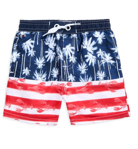 Tommy Hilfiger Baby Boy's 2-Piece Logo Tank Top & Print Drawstring Shorts Set - Gray Multicolor, 24 Months