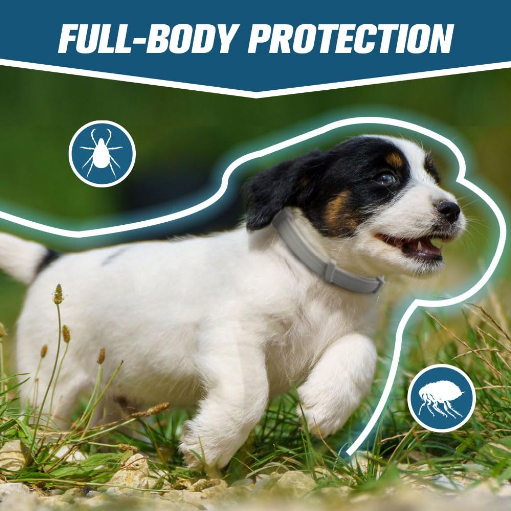 AMDEIUR Flea Collar for Dogs, Flea and Tick Collar for Small Dogs, People/FET/Plant Friendly - 2P