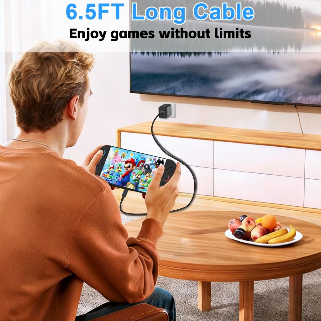 Herfair Switch 2 Charger 60W 20V/3A AC Power Adapter Fast Charging Block with USB C