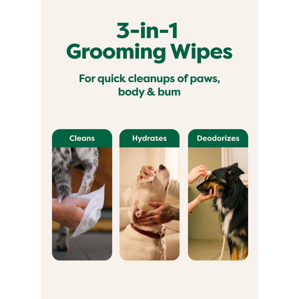 Earth Rated Dog Wipes, for Grooming Paws, Body and Butt, Lavender Scented, 100 Count