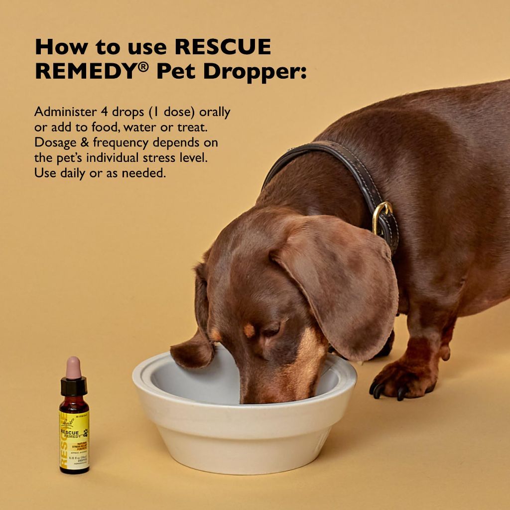 Rescue Remedy Pet Dropper - 20mL - Stress & Tension Support for Dogs & Cats with Bach Natural Flower Essences