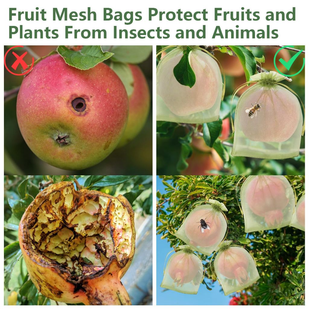 Mesh Drawstring Fruit Protection Bags - Green, 4" x 6" (100ct.)