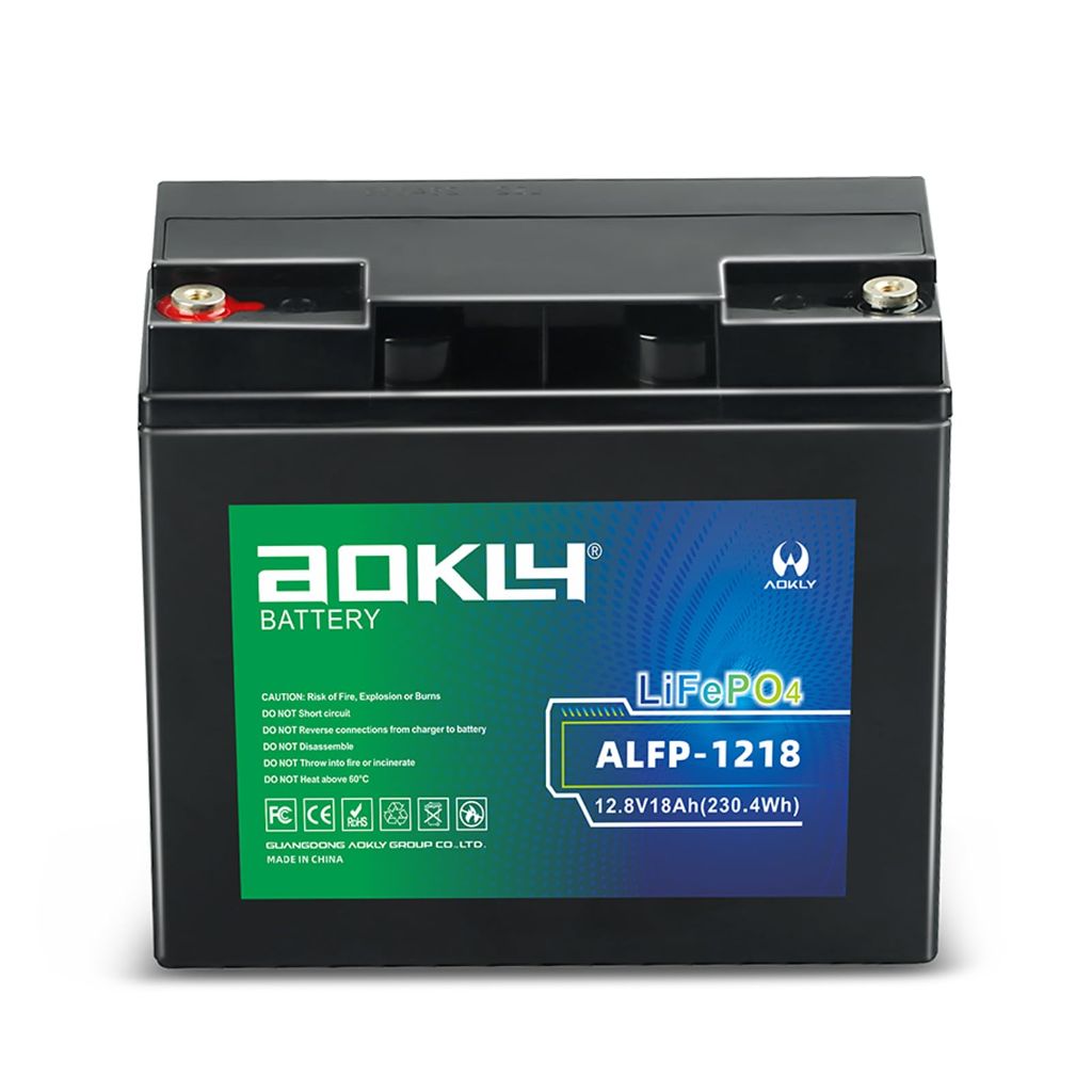 Aokly 12V 18Ah Lithium LiFePO4 Battery, 4000+ Cycles, Built-in 18A BMS for UPS Backup Power, Fish Finder, Camping Lighting