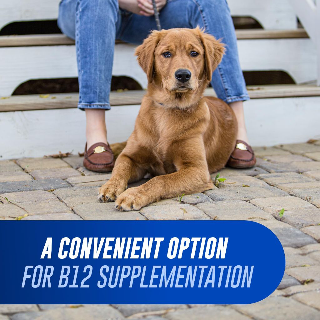 Nutramax Cobalequin B12 for Dogs, Oral Cobalamin Supplement with Folate | 45 Count