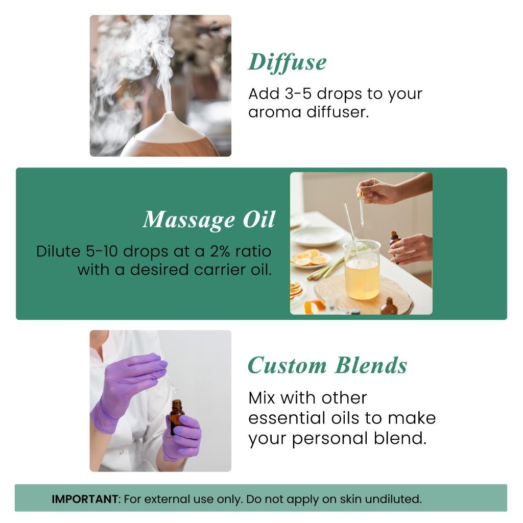 Handcraft Blends Eucalyptus Essential Oil, 100% Pure and Natural - 4 fl. oz.