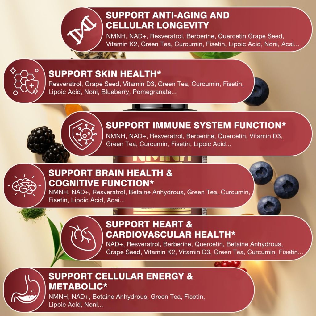 19 in 1 NMNH (Dihydronicotinamide Mononucleotide) 1000mg Per Serving - Advanced NAD+ Supplement with Resveratrol, Quercetin & Antioxidants