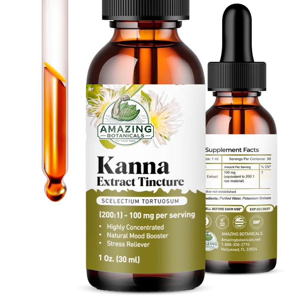 Amazing Botanicals Sceletium Tortuosum Kanna Extract Tincture 200x Menstrum – Liquid Supplement – 30ml (1oz)