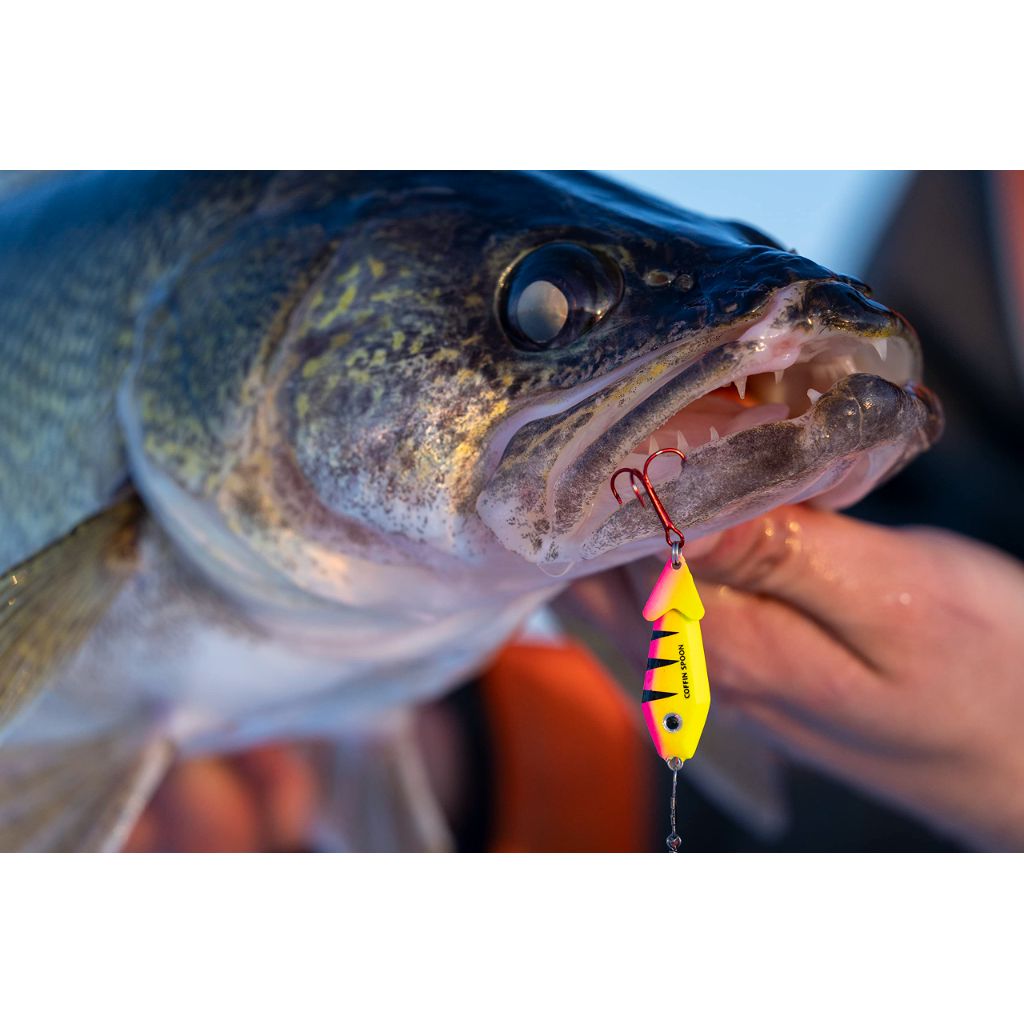 Northland Tackle Buck-Shot Coffin Ice Fishing Spoon, UV Electric Perch, 1/4 Oz, 1/Cd