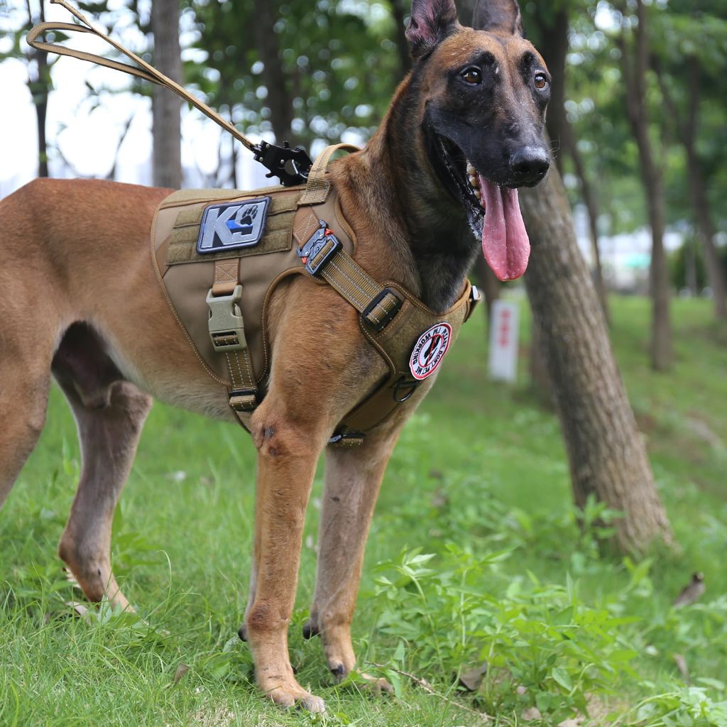 SZ L, ICEFANG Tactical Dog Harness, 2X Metal (Brown)