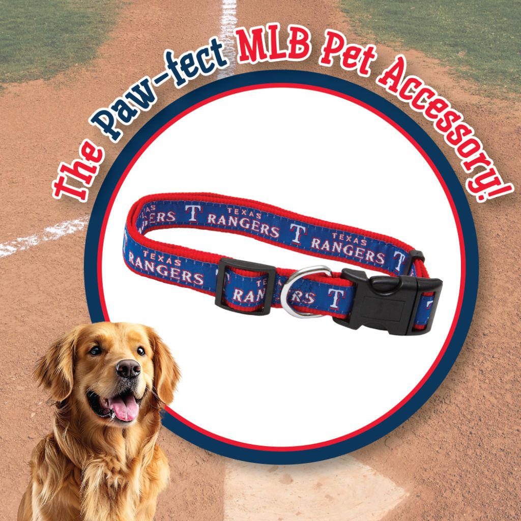 MLB Texas Rangers Licensed PET COLLAR- Heavy-Duty, Strong, and Durable Dog Collar