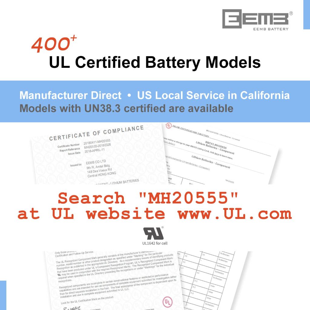 EEMB (4Pk) 3.6V D Cell Batteries | D Size Lithium Batteries 19000mAh