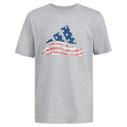 Adidas Boys Short Sleeve USA Proud Heather Tee, Medium Grey Heather, 2T