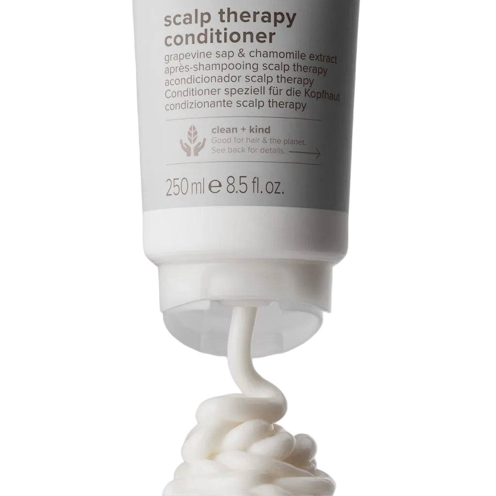 Paul Mitchell Clean Beauty Scalp Therapy Conditioner - 33.8 fl. oz.