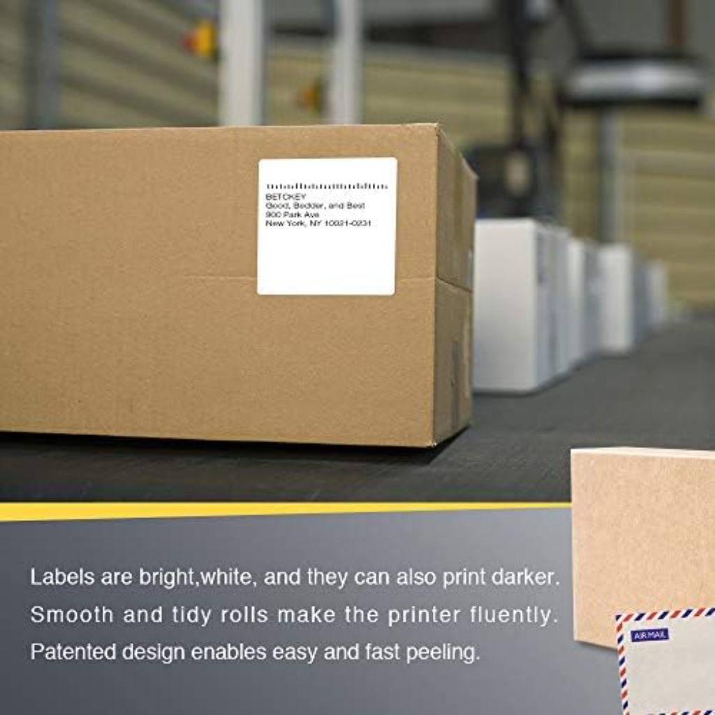 BETCKEY - 3" x 3" (76 mm x 76 mm) Multipurpose & Large Square Labels, [1 Rolls, 500 Labels]