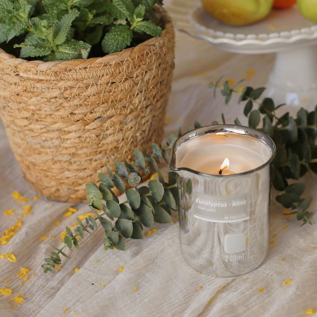 Eucalyptus Mint Scented Candles for Men - Natural Soy Candles | Christmas Gifts for Women Men | 7oz 40 Hours Burn Time