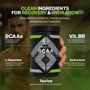Fossil Fuel Sugar-Free BCAA Powder – Fruit Punch (30 Servings)