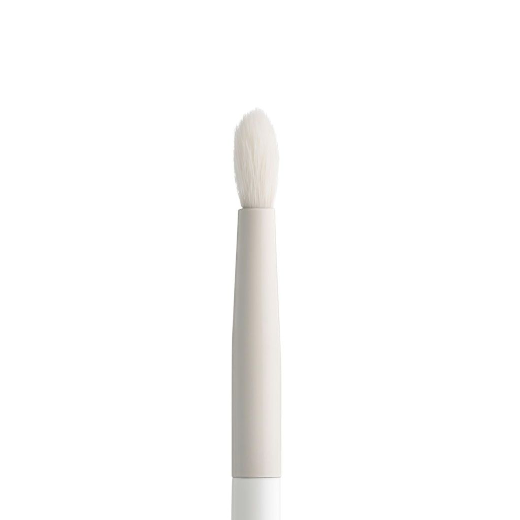 Wayne Goss Luna Brush Small Crease #6 Amazon Exclusive