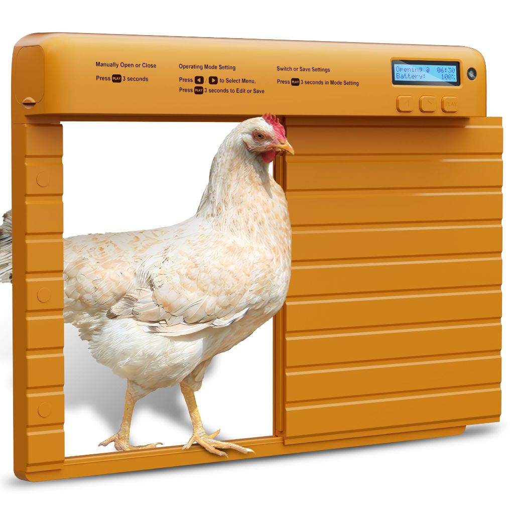 Battery Powered Automatic Chicken Coop Door