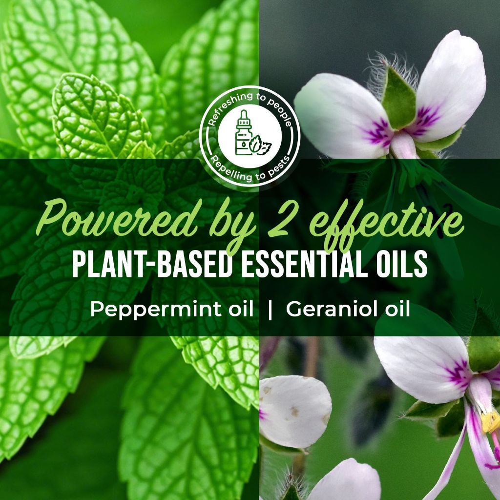 Mighty Mint Peppermint Oil Spider Repellent Spray with Microfiber Cloth – Indoor & Outdoor Bug Control for Spiders and Insects – Plant-Based, Extra-Strong Formula - 16 oz